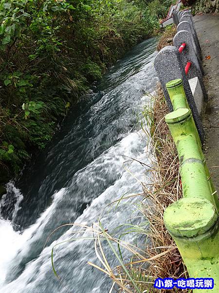 水利生態步道31.jpg