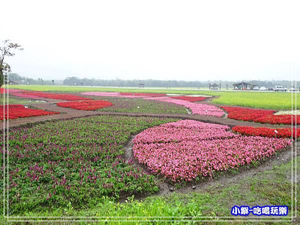 大農大富平地森林農場23.jpg