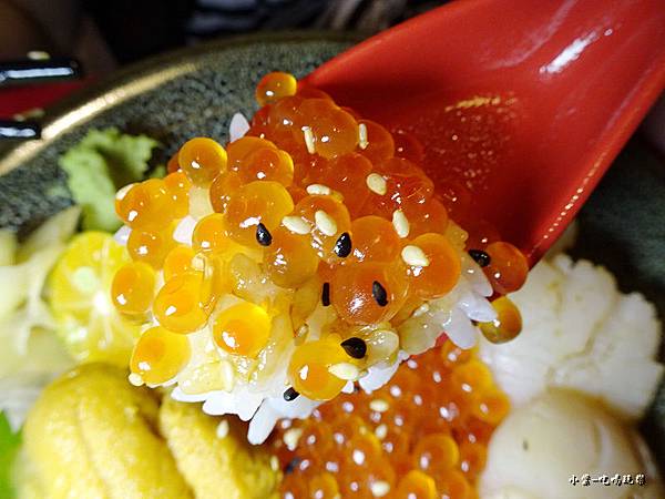 甘貝鮭魚卵丼 (1)43.jpg
