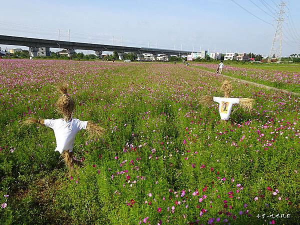 桃園花彩節-楊梅場52.jpg