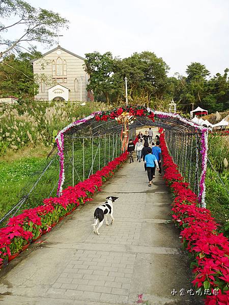 三民山城紅花燈火節19.jpg