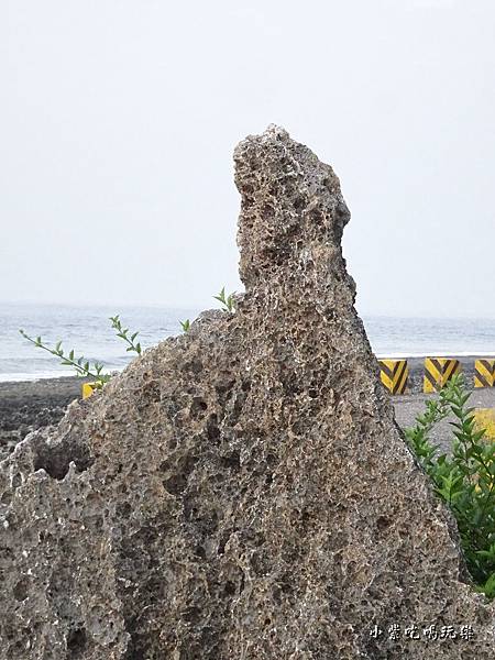 小琉球厚石群礁 (9)1.jpg