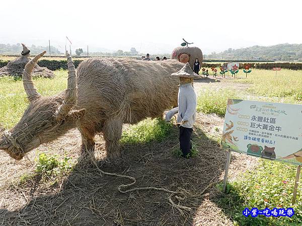 富里2020稻草藝術季17.jpg