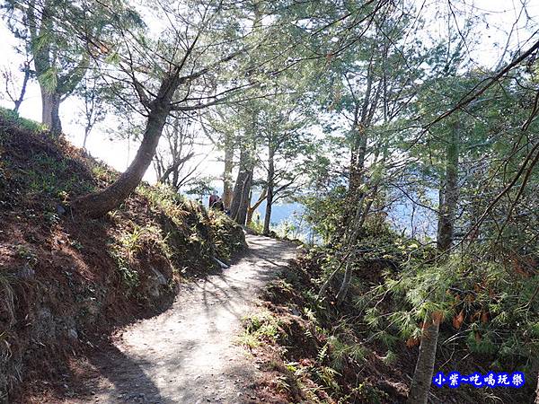 新竹景點/尖石鄉上帝的部落【司馬庫斯】櫻花季~登山口停車場到