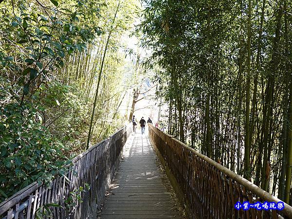 往巨木登山口的櫻花步道-司馬庫斯  (5).jpg