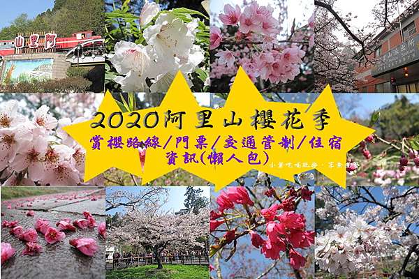 2019阿里山櫻花季 花現阿里山 3 9 4 10止 門票 交通管制時間 森林遊樂區內賞櫻景點路線 大眾運輸工具 住宿資訊 懶人包 小紫吃喝玩樂 享食煮藝