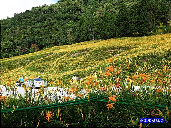 小瑞士農場-赤科山 (18).jpg 小瑞士農場-赤科山 (18).jpg