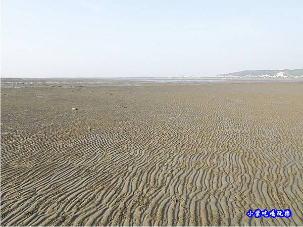 新竹香山-海山漁港濕地 (3).jpg