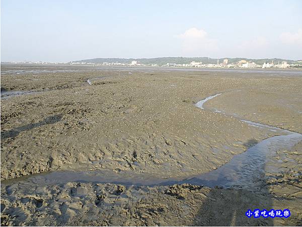 新竹香山-海山漁港濕地 (7).jpg