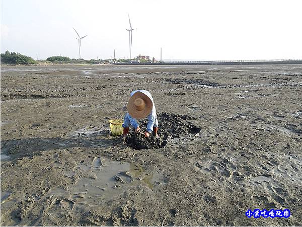 新竹海山漁港挖公代  (2).jpg