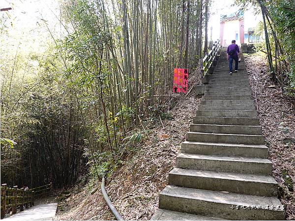 羅浮遊客中心後方往義興吊橋步道 (1).jpg