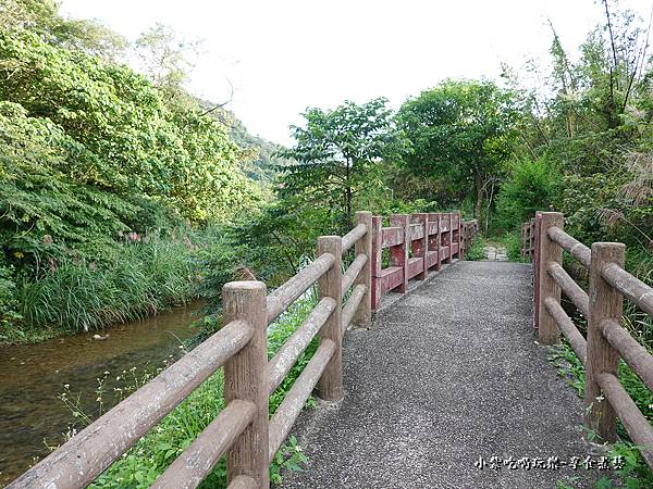 瑪陵櫻花步道  (5).jpg