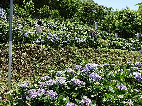 2022祿客農莊 (28).jpg