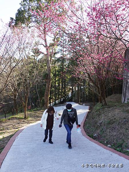 森林浴步道-協雲宮賞櫻 (2).jpg