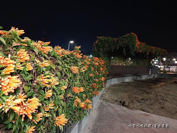 永吉公園夜櫻夜景16.jpg