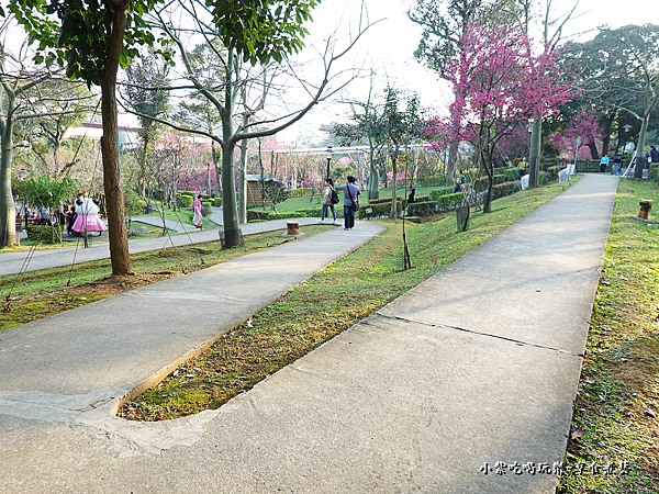 紫花海下方步道-鶯歌永吉公園.png