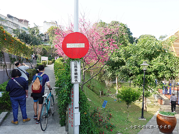 籃球場上方櫻花、炮仗花步道 (4).png