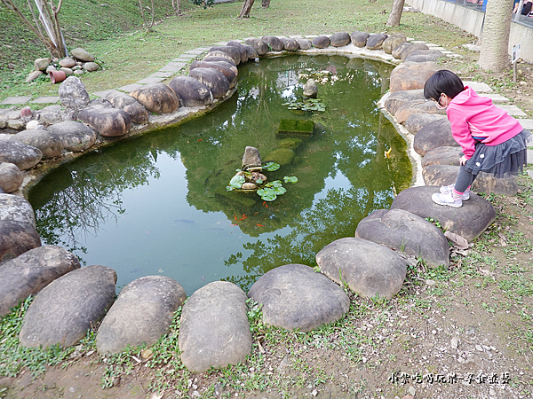 籃球場旁小水池-鶯歌永吉公園 (1).png