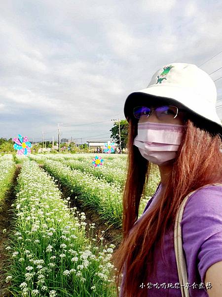 大溪景點-2023桃園韭菜花季 (3).jpg