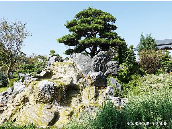 百日花紅池-成美文化園 (4).jpg