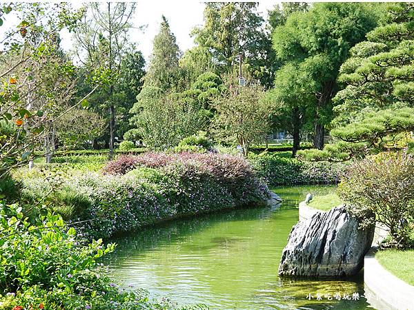 百日花紅池-成美文化園 (5).jpg