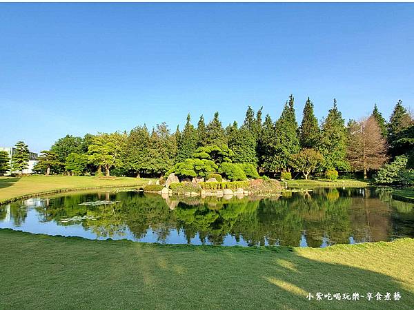 和園中島-真柏-成美文化園 (3).jpg