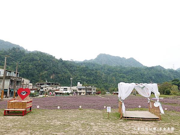 星仙草望花小屋-2023獅潭仙草花節 (2).jpg