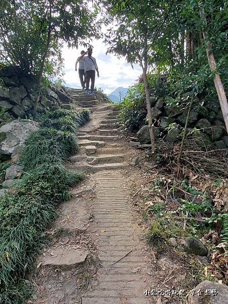 會場捷徑-2023獅潭仙草花節 (4).jpg