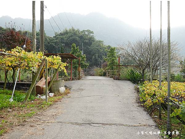 台中-新社梅花隧道 (3).jpg