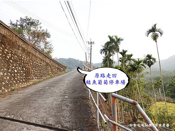 新社梅花隧道(原路回停車場).jpg