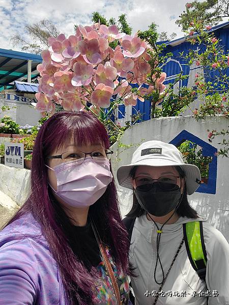 2025-519枕头山农庄赏花趣.jpg