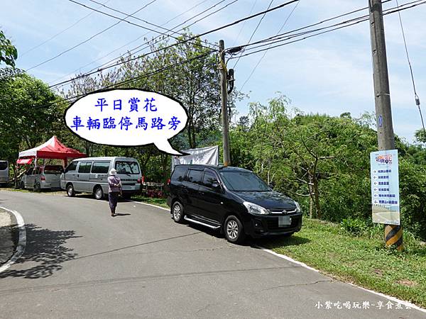 平日车子停马路旁-枕头山农庄24.jpg