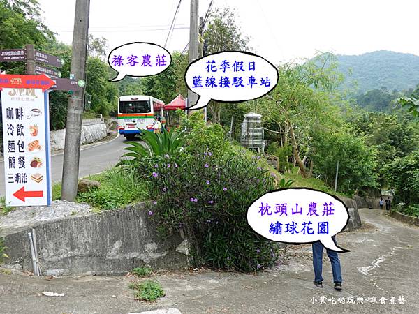 往-枕头山农庄绣球花园路口.jpg