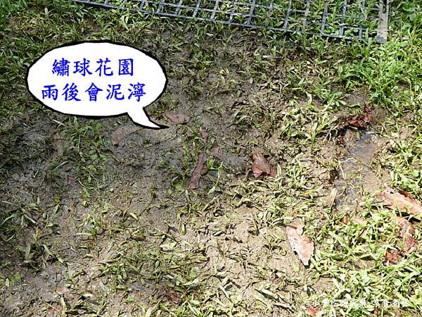枕头山农庄-吴家果树农园绣球花季 (1).jpg