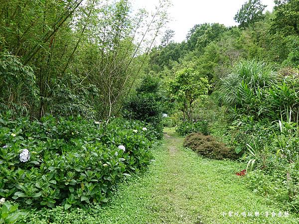 枕头山农庄-吴家果树农园绣球花季 (8).jpg