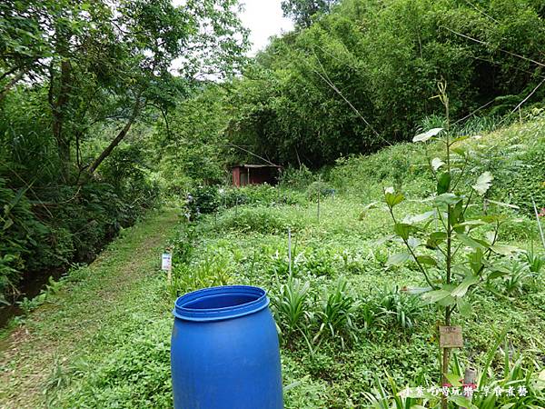 枕头山农庄-吴家果树农园绣球花季 (15).jpg