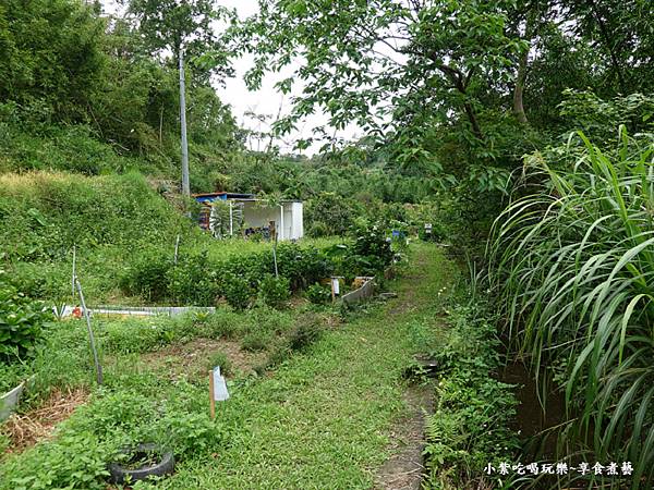 枕头山农庄-吴家果树农园绣球花季 (18).jpg