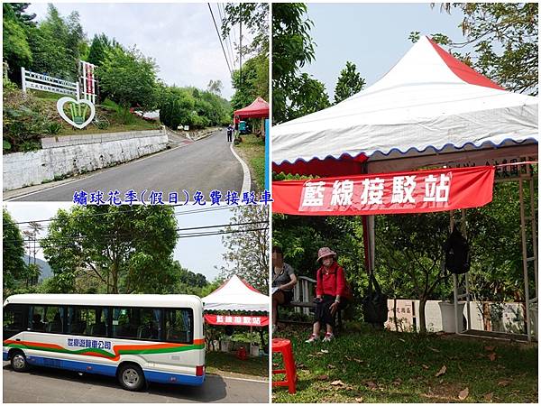 绣球花季(假日)蓝线免费接驳车-枕头山农庄前.jpg