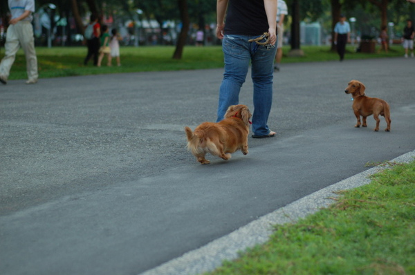 DSC_6072_調整大小.JPG