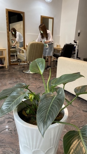 8795123C-6045-48C1-B103-1DB25B17CC7F.jpeg - 2022,吃喝玩樂