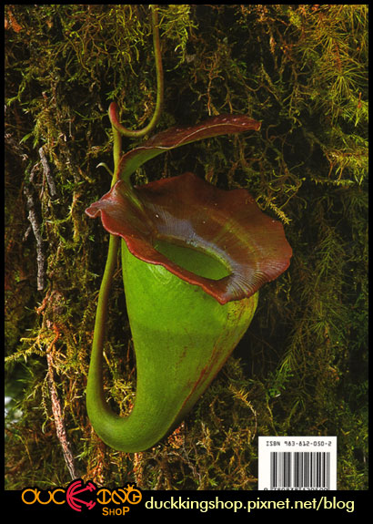 Nepenthes-of-Sumatra-封底.jpg