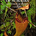 Nepenthes-of-Sumatra-封面.jpg