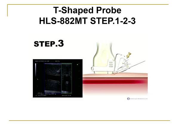 Presentation for T-Shaped probe 2019.06.30_page-0013