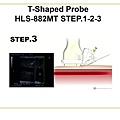 Presentation for T-Shaped probe 2019.06.30_page-0013