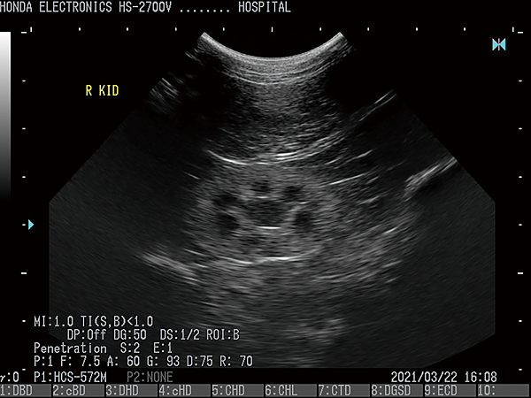 Honda Hs 2700v都卜勒動物用彩色超音波 動物用 獸醫 開業醫生好幫手美德威 痞客邦 Honda Hs 2700v都卜勒動物用彩色超音波 動物用 獸醫 開業醫生好幫手美德威 痞客邦