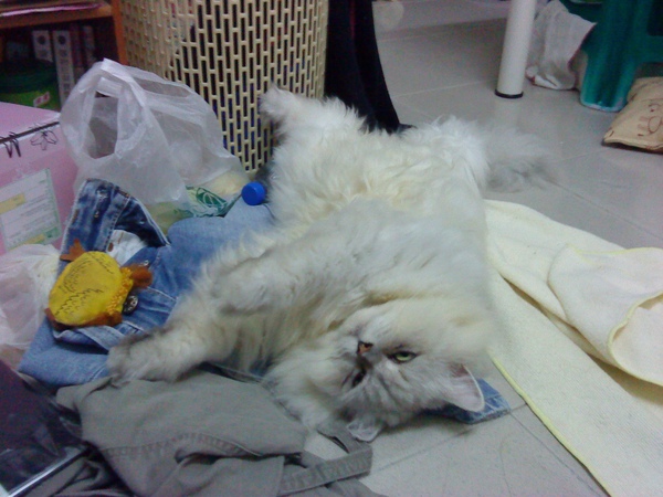 DSC00049.JPG DSC00049.JPG