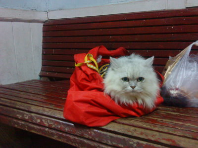 DSC00065.JPG DSC00065.JPG