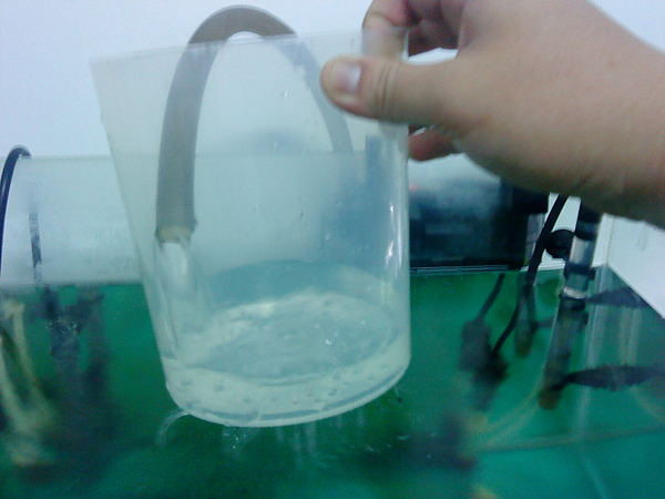 金魚缸自製第二層培菌筒...