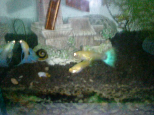 風吹日曬之第三缸