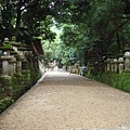 這神社很多燈